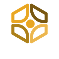 Hive Coworking Lusaka